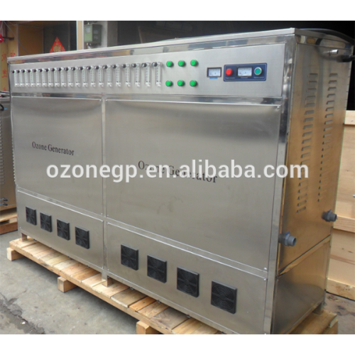 100g/hr Oxygen source industrial ozone generator water treatment machine for sewage water, pool water,drinking water purifier
